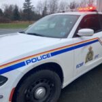 Three youths charged after theft of vehicle, flight from police; arrested in Waverley