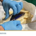 RCMP, CBSA dismantle crime group after nearly 250 kg of cocaine detected in shipping container in Halifax